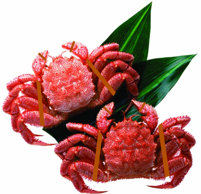カニ結束.jpg